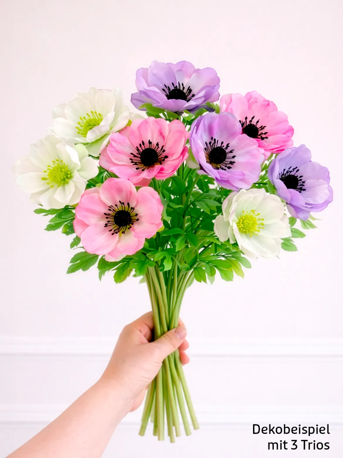 Buntes Anemonen-Trio