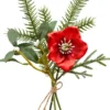 Christrosen-Bund „Roya“