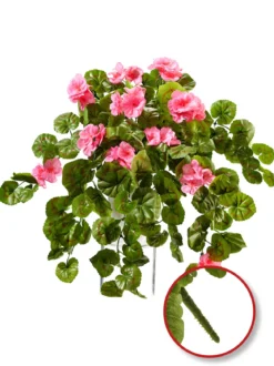 Geranien-Hänger „Rubina“, rosa