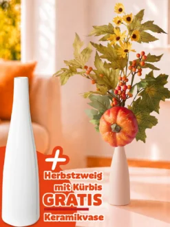 Jubiläums-Set „Kürbiszauber“