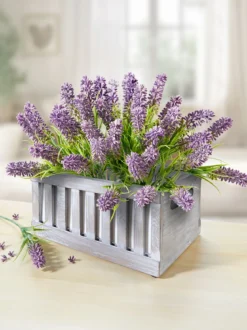 Lavendel-Bund