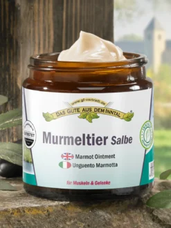 Murmeltier-Salbe