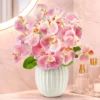 Orchideen-Bund „Rosetta“