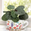 Pflanztasse „Blumenzauber“