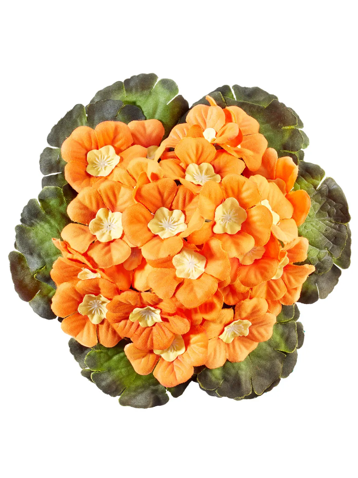 Primel-Pick, orange