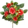 Rosenbusch-Pick, rot