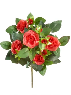 Rosenbusch-Pick, rot