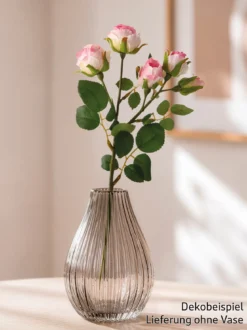 Rosenzweig „Eleganza“, rosa