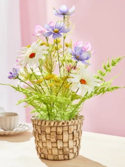Topfgesteck „Cosmea“